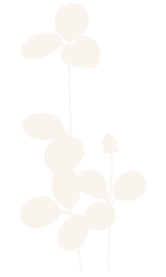 Decorative flower icon