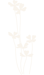 Decorative flower icon
